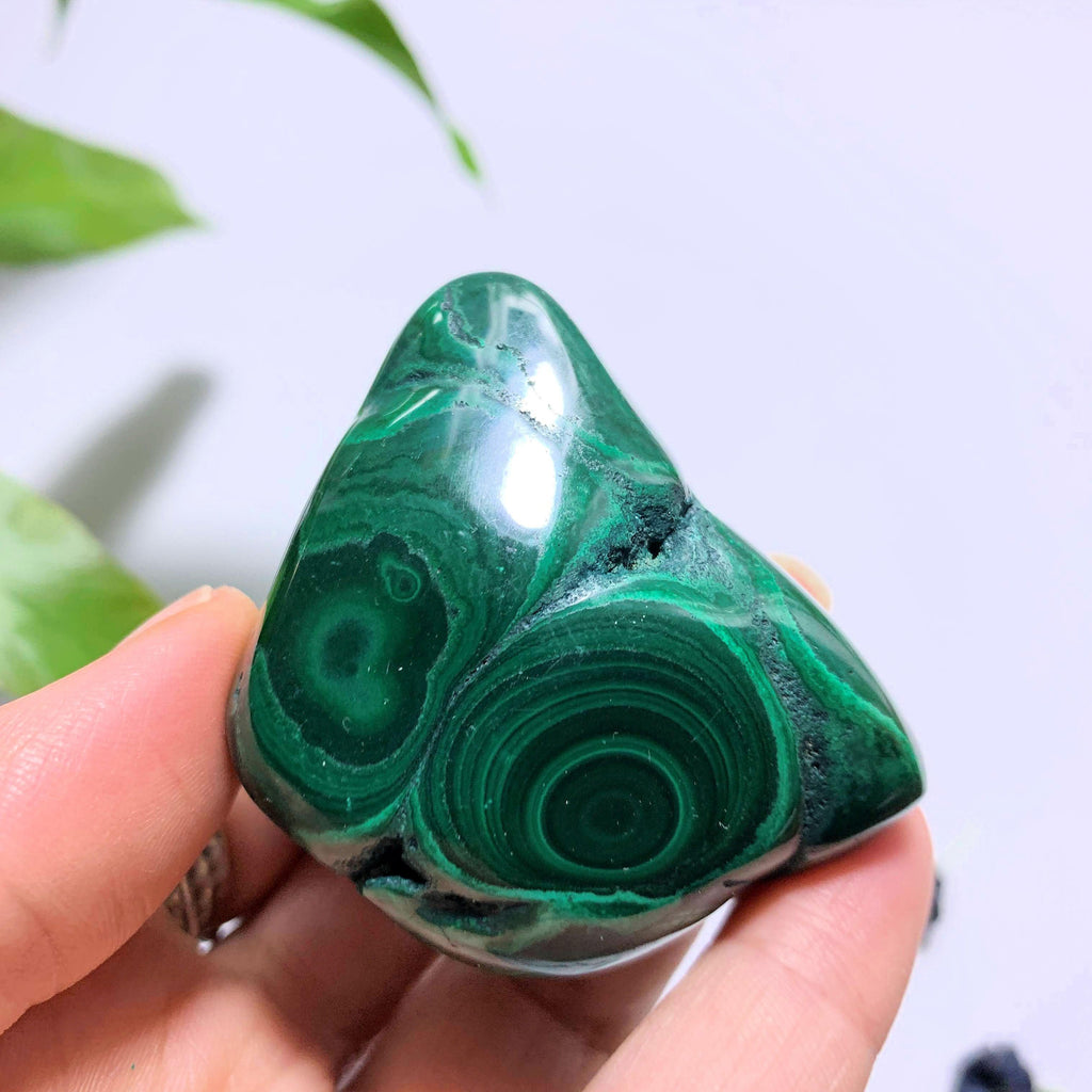 Malachite With Caves Partially Polished Hand Held Specimen ~Locality Congo - Earth Family Crystals