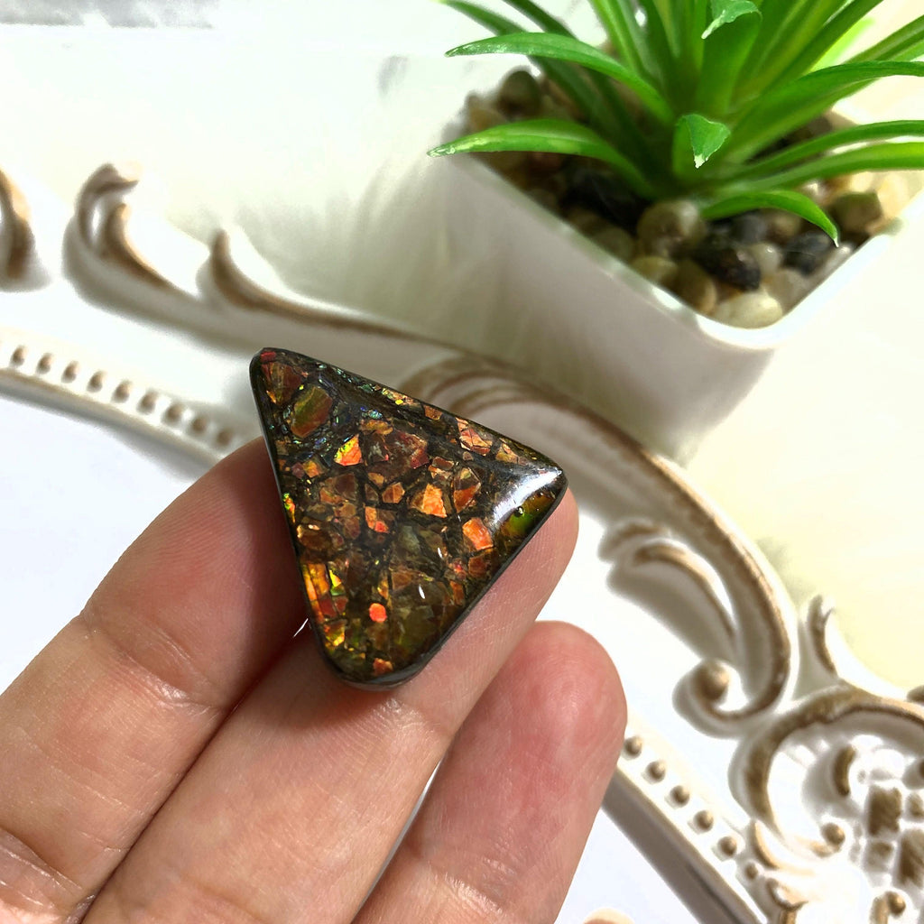 Beautiful Ammolite Fossil Cabochon From Alberta ~Ideal for Crafting #1 - Earth Family Crystals