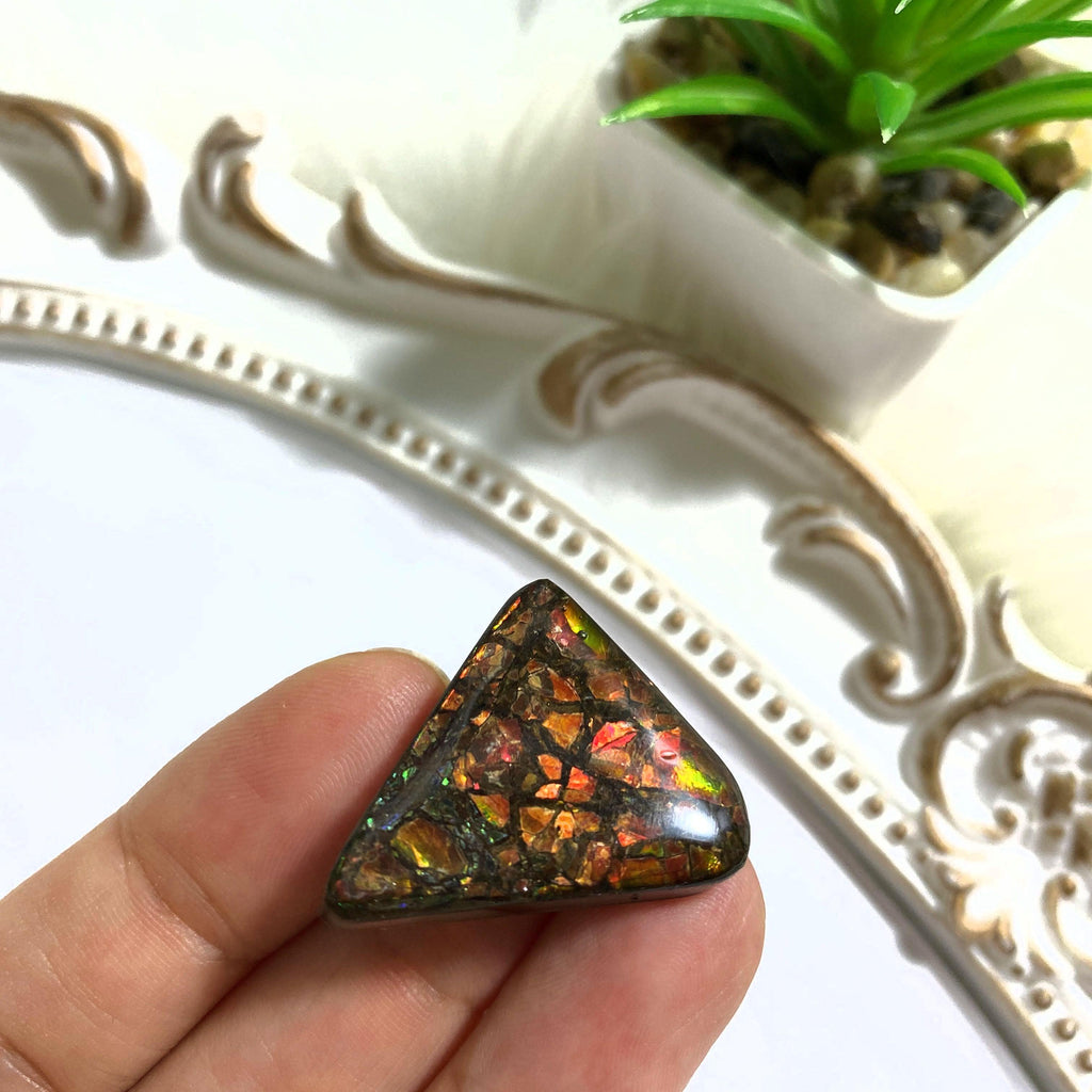 Beautiful Ammolite Fossil Cabochon From Alberta ~Ideal for Crafting #1 - Earth Family Crystals