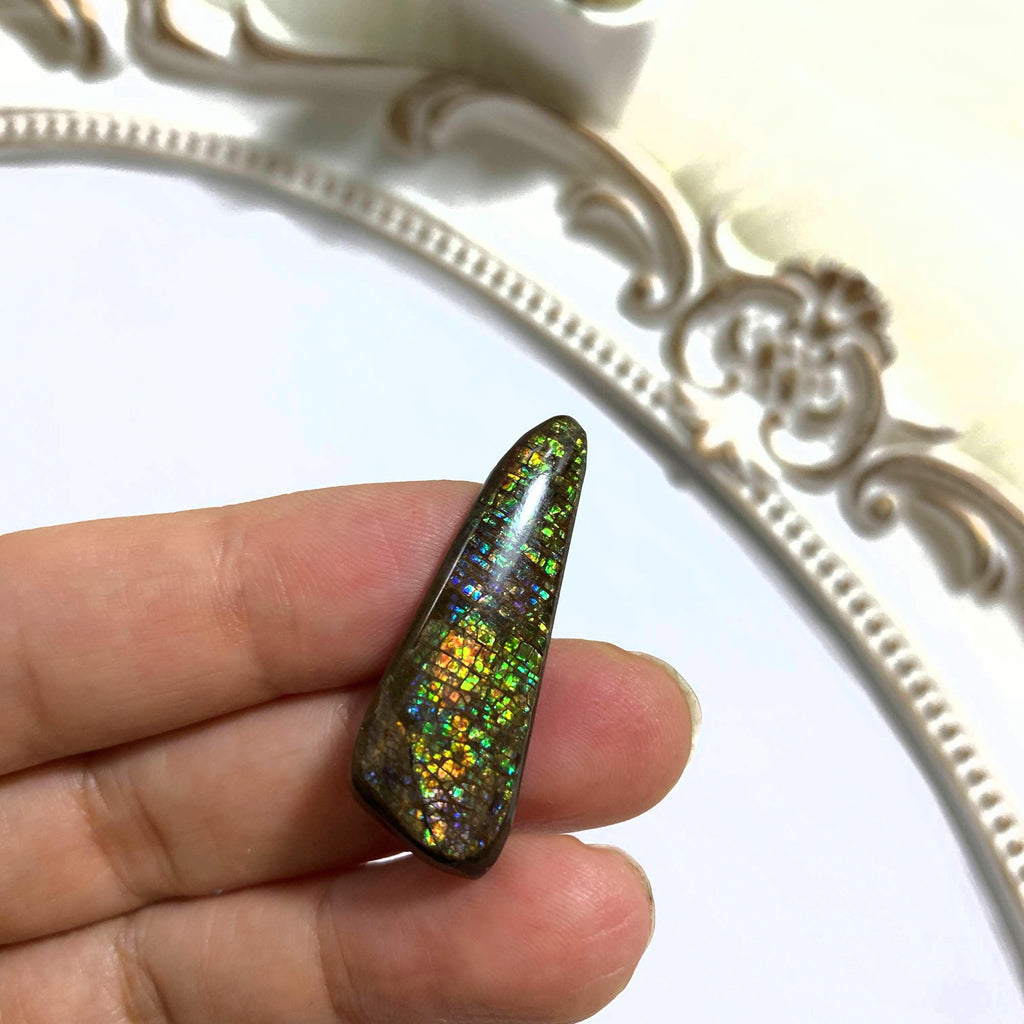 Beautiful Ammolite Fossil Cabochon From Alberta ~Ideal for Crafting #2 - Earth Family Crystals