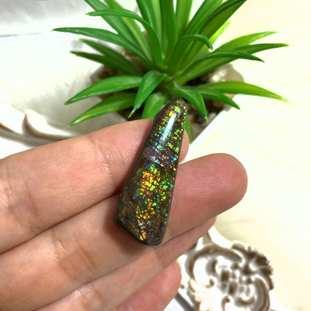 Beautiful Ammolite Fossil Cabochon From Alberta ~Ideal for Crafting #2 - Earth Family Crystals