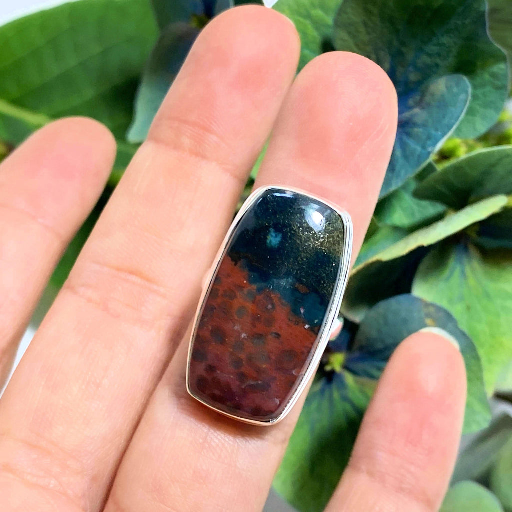 Stunning Bloodstone Ring in Sterling Silver ( Size 6 ) - Earth Family Crystals