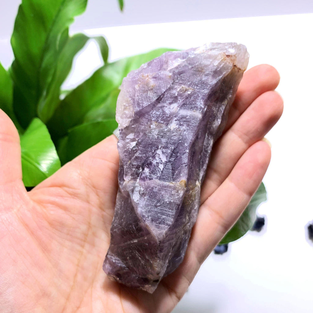 Genuine Large Auralite-23 Point  From Ontario, Canada - Earth Family Crystals