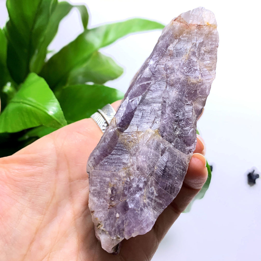Genuine Large Auralite-23 Point  From Ontario, Canada - Earth Family Crystals