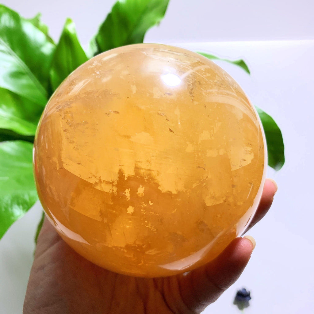 Incredible XL Golden Calcite With Rainbows Sphere Carving - Earth Family Crystals