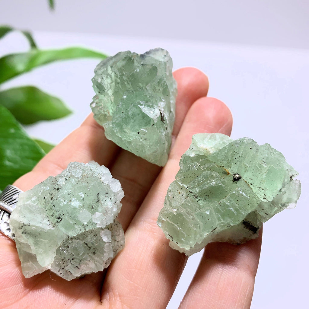 Set of 3 Natural Green Fluorite Hand Held Specimens~Ideal for Crystal Grids! - Earth Family Crystals
