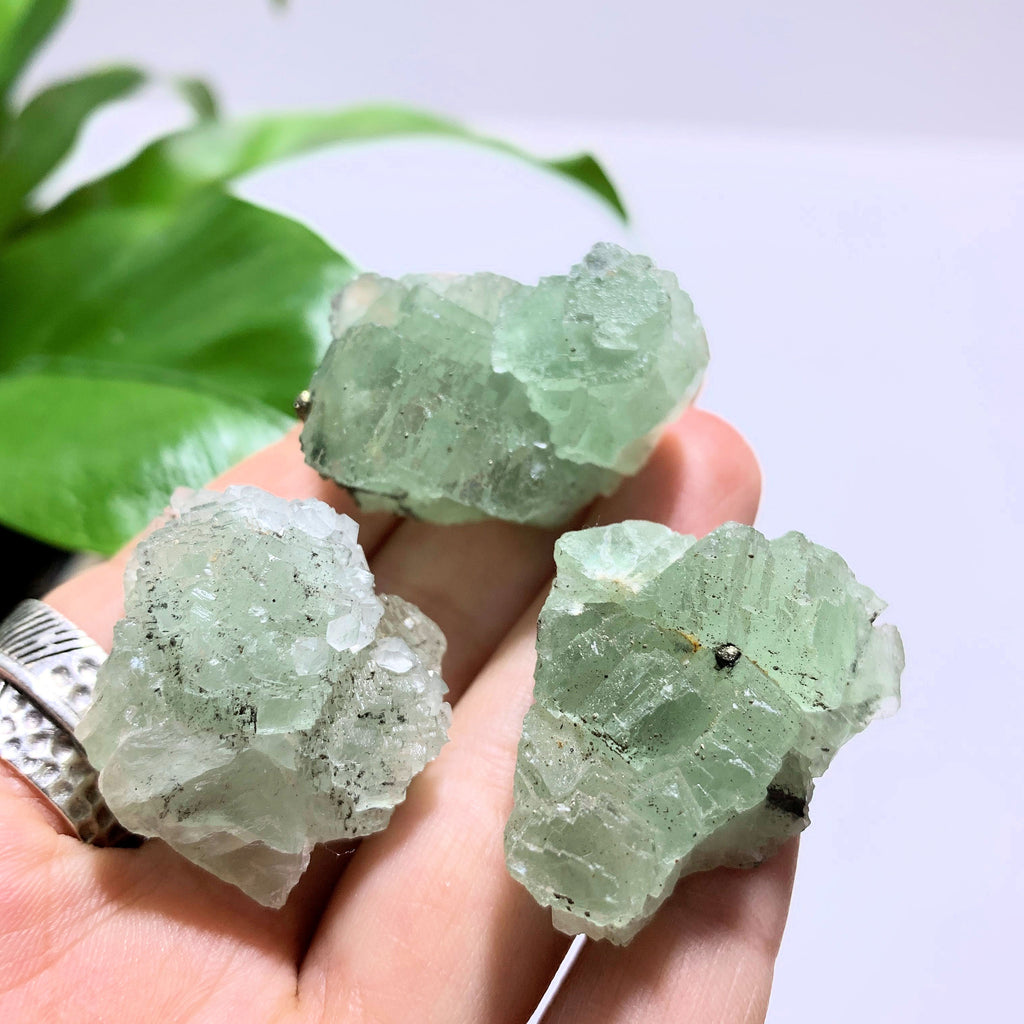 Set of 3 Natural Green Fluorite Hand Held Specimens~Ideal for Crystal Grids! - Earth Family Crystals
