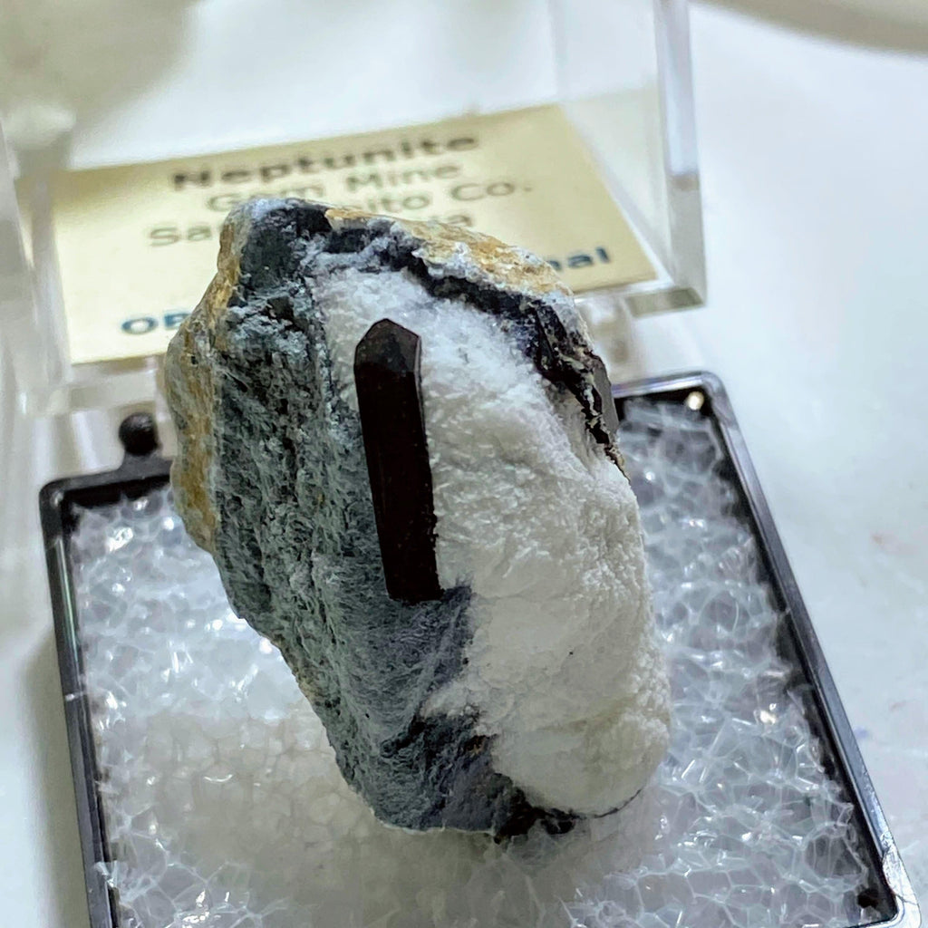 Very Rare! Neptunite On Matrix From Gem Mine, California In Collectors Box - Earth Family Crystals