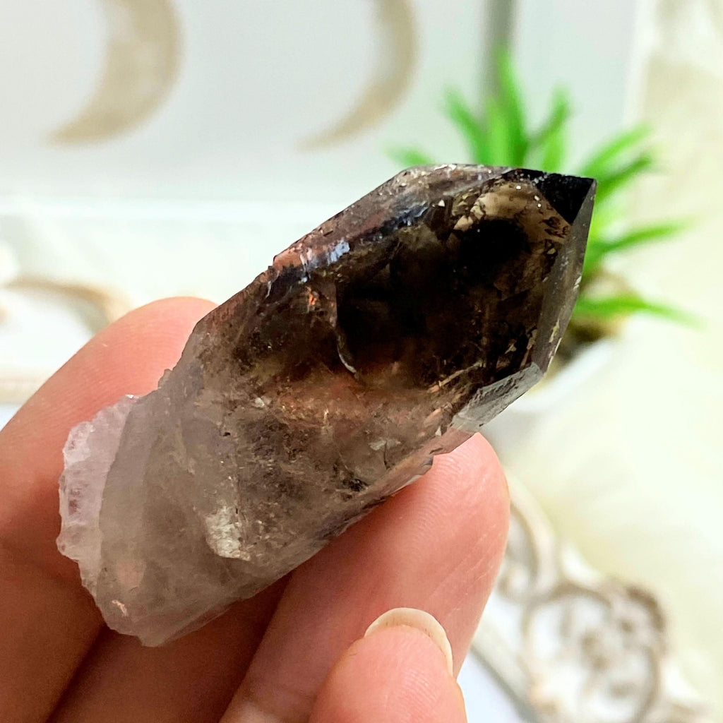 Natural Smoky Quartz Point With Black Tourmaline Inclusions - Earth Family Crystals