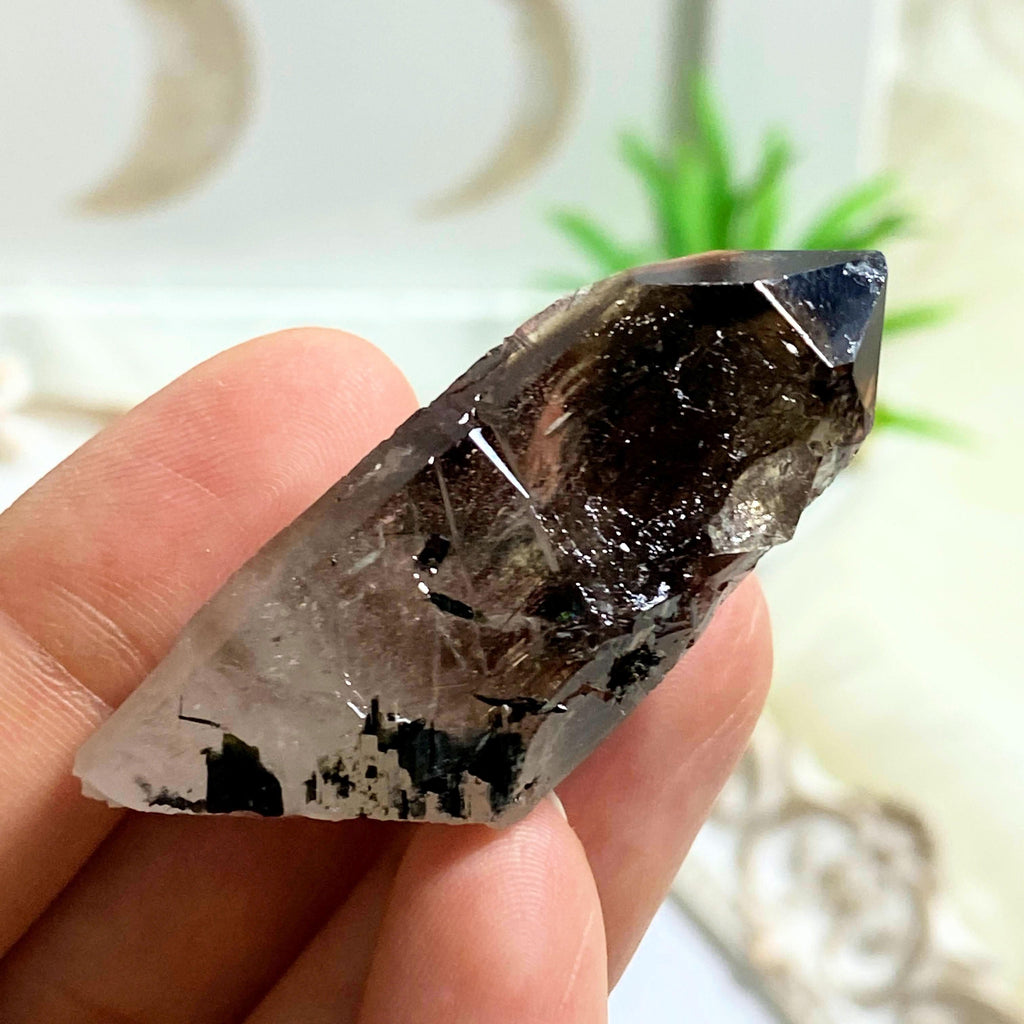 Natural Smoky Quartz Point With Black Tourmaline Inclusions - Earth Family Crystals