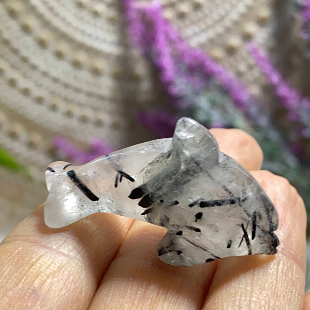 Reserved For Sandy Tourmalated Quartz Dainty Dolphin Carving *REDUCED - Earth Family Crystals