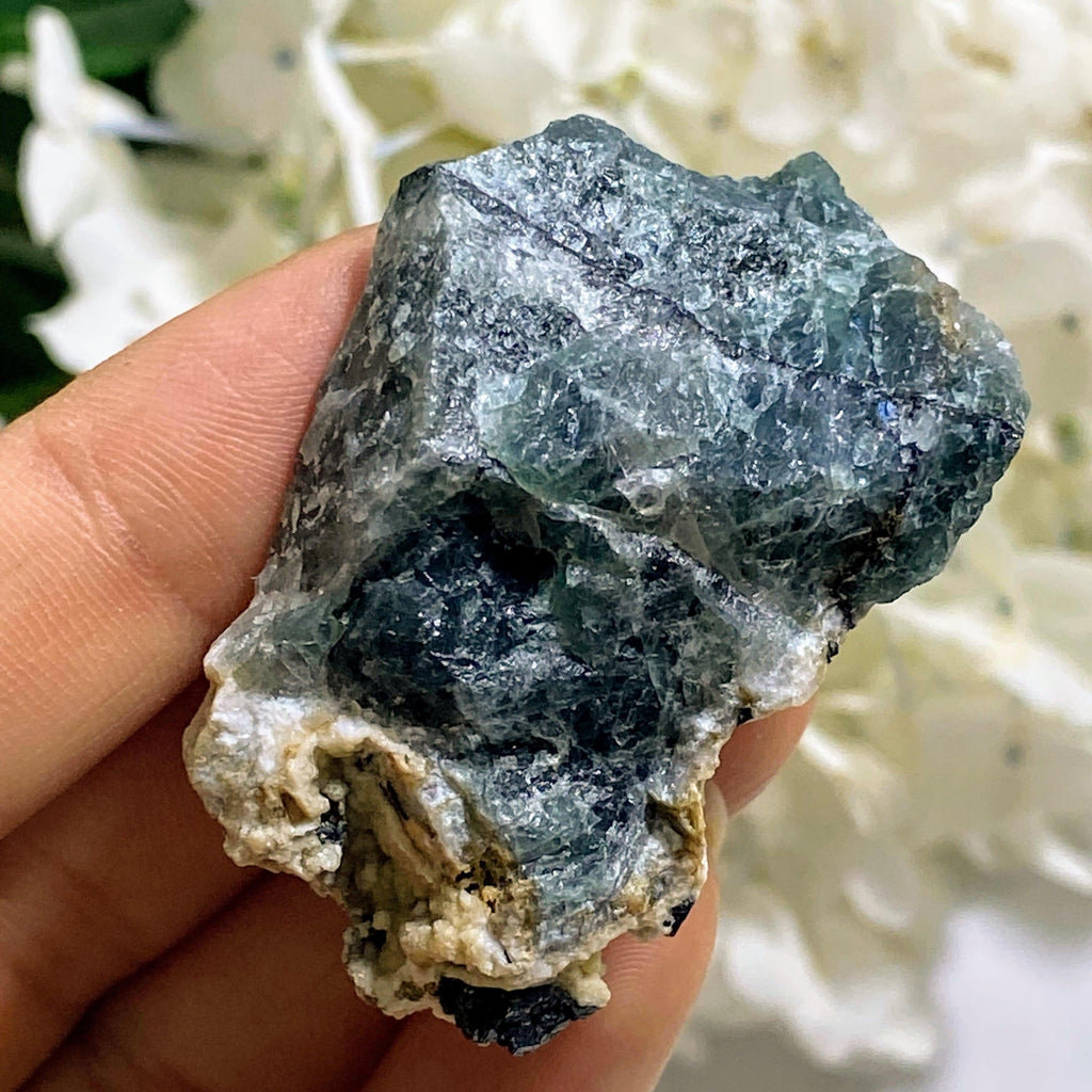 Rare Greenland Green Sodalite (Hackmanite) Uv Reactive & Agerine Specimen - Earth Family Crystals
