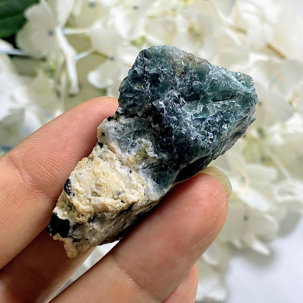 Rare Greenland Green Sodalite (Hackmanite) Uv Reactive & Agerine Specimen - Earth Family Crystals