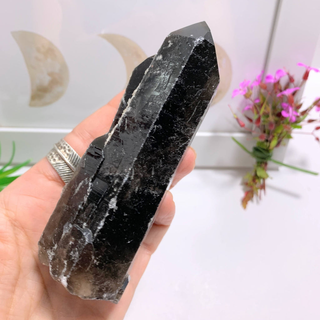RESERVED For Kerby~Rare Natural Dark Brown Morion Smoky Quartz  Large Multi Point~Locality Namibia - Earth Family Crystals