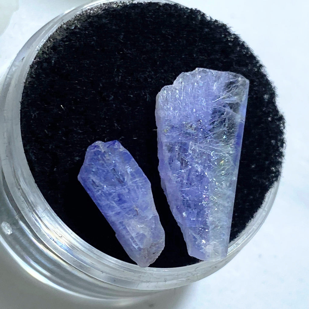 7 CT Terminated Gemmy Natural Two Tanzanite Points in Collectors Box - Earth Family Crystals