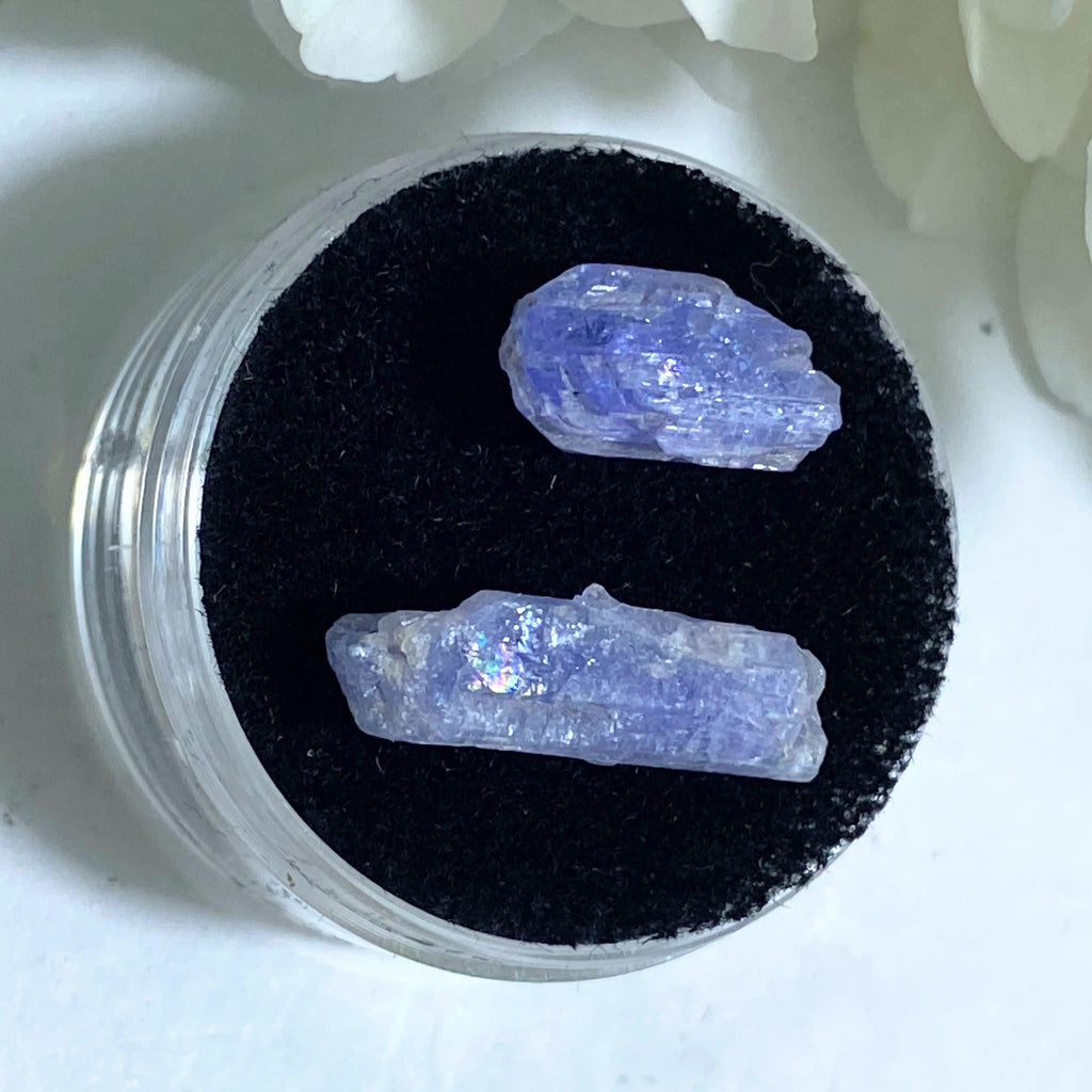 7.5 CT Terminated Gemmy Natural Two Tanzanite Points in Collectors Box - Earth Family Crystals