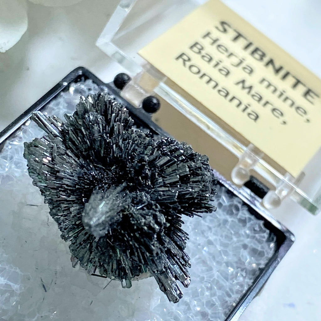 Rare Collectors Specimen! Fanned Silver Stibnite in Box From Herja Mine, Romania - Earth Family Crystals
