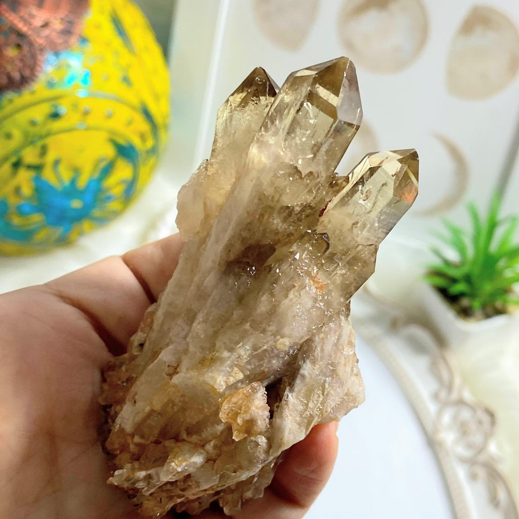 Reserved for Gina Incredible Completely Natural Golden Citrine Elestial Kundalini Cluster - Earth Family Crystals