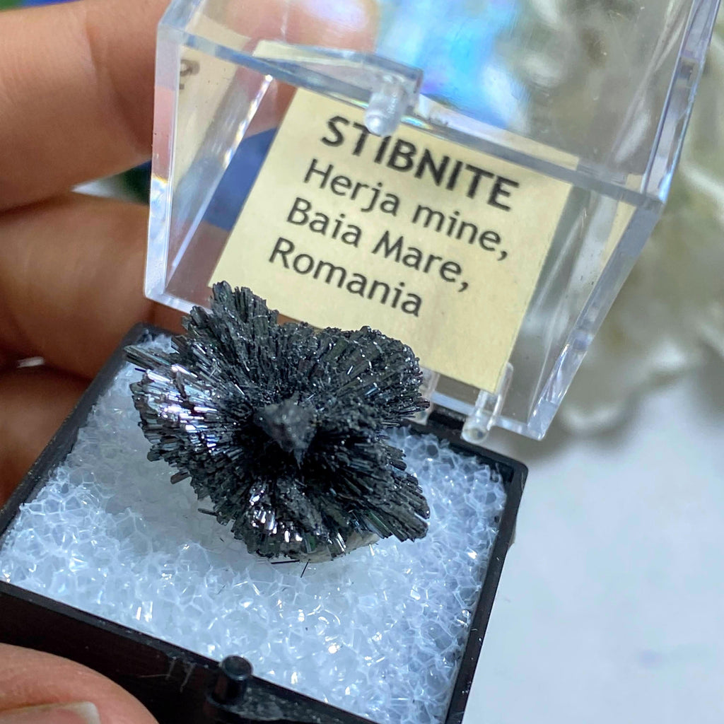 Rare Collectors Specimen! Fanned Silver Stibnite in Box From Herja Mine, Romania - Earth Family Crystals
