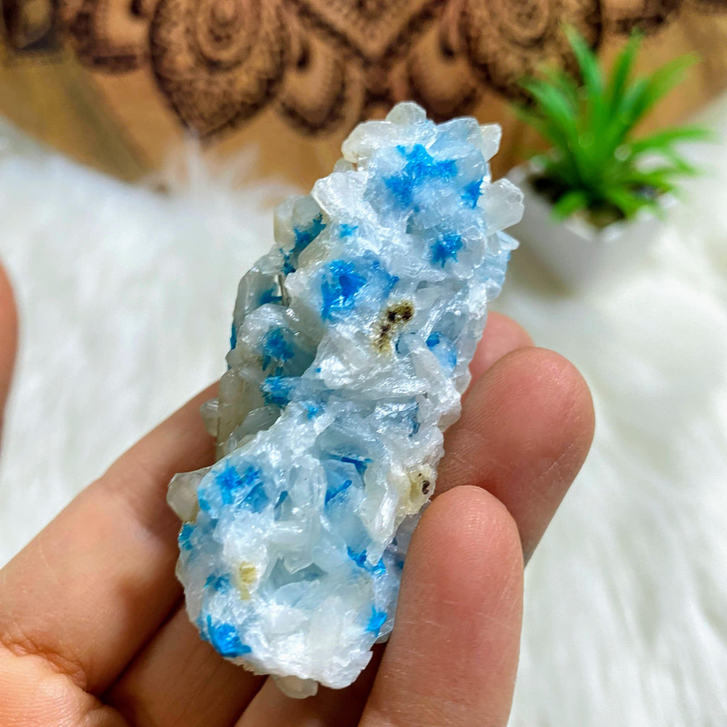 Vibrant Electric Blue Natural Cavansite Nestled in Stilbite Matrix From India - Earth Family Crystals