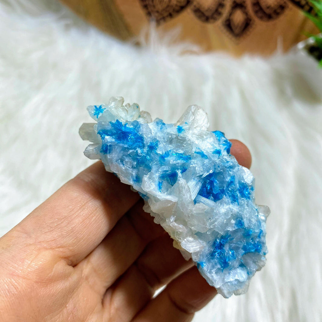 Vibrant Electric Blue Natural Cavansite Nestled in Stilbite Matrix From India - Earth Family Crystals