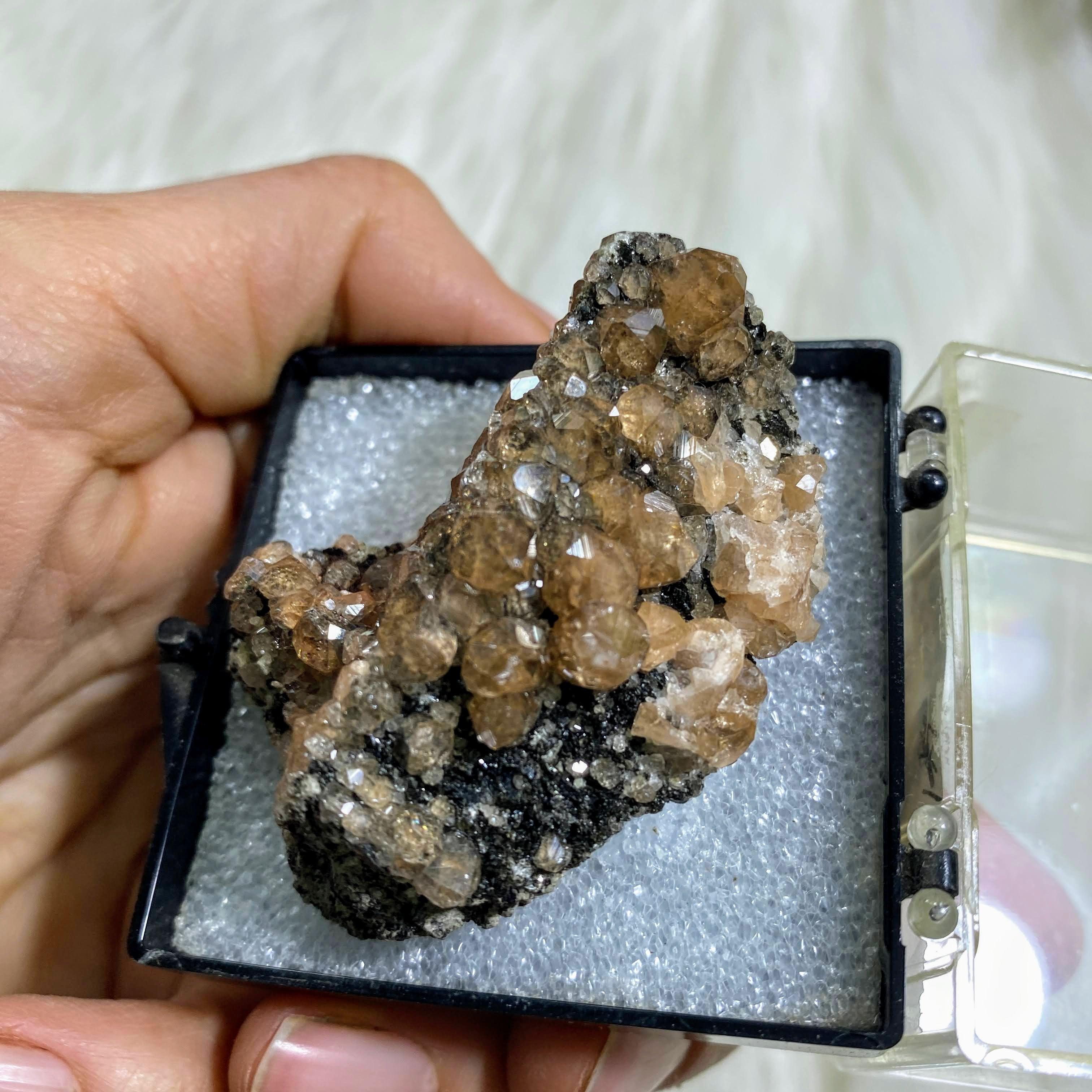 Rare Collectors Hessonite Garnet Specimen in Collectors Box~Locality: Ontario, Canada - Earth Family Crystals