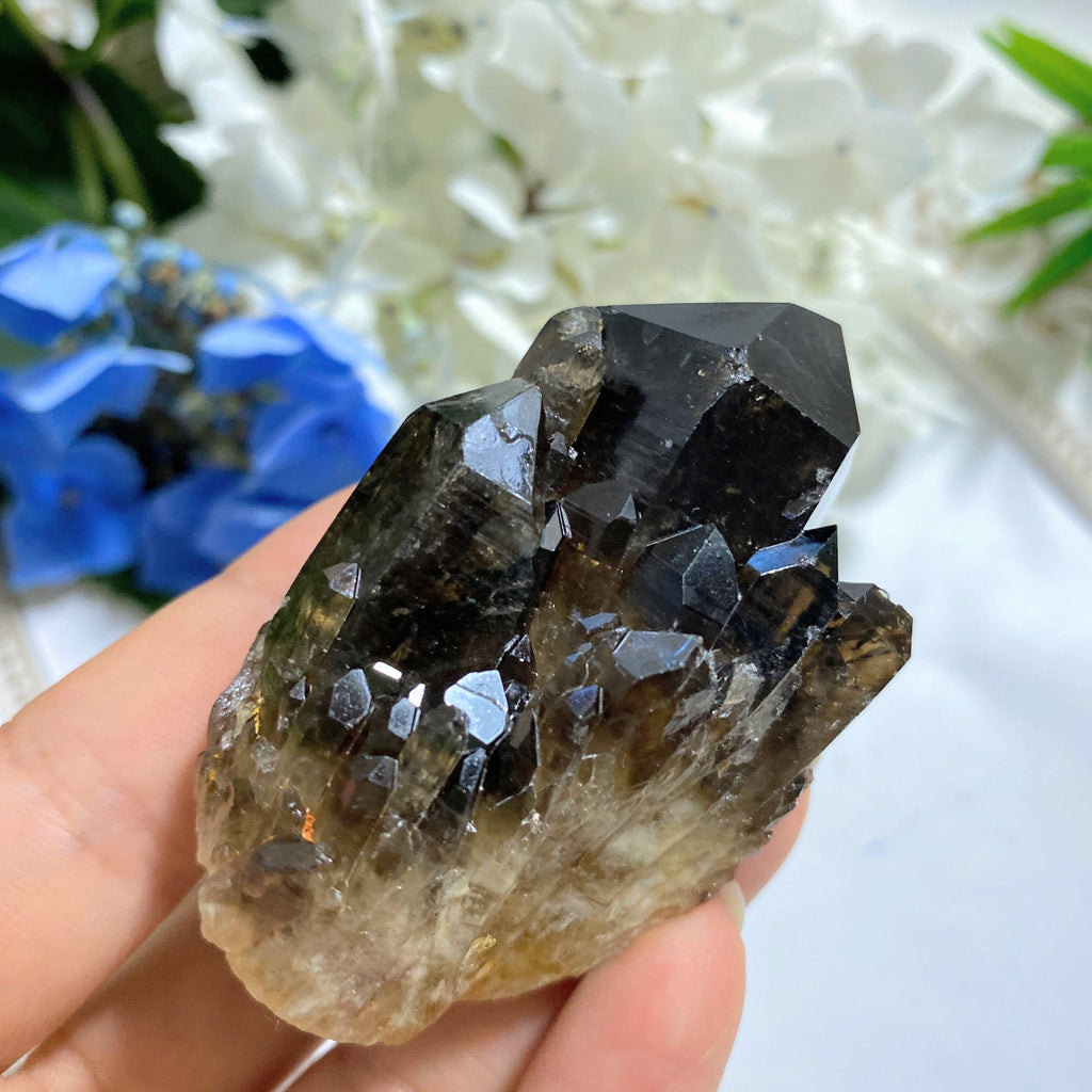 Deep Natural Smoky Quartz With Citrine Inclusions Elestial Kundalini Standing Cluster - Earth Family Crystals