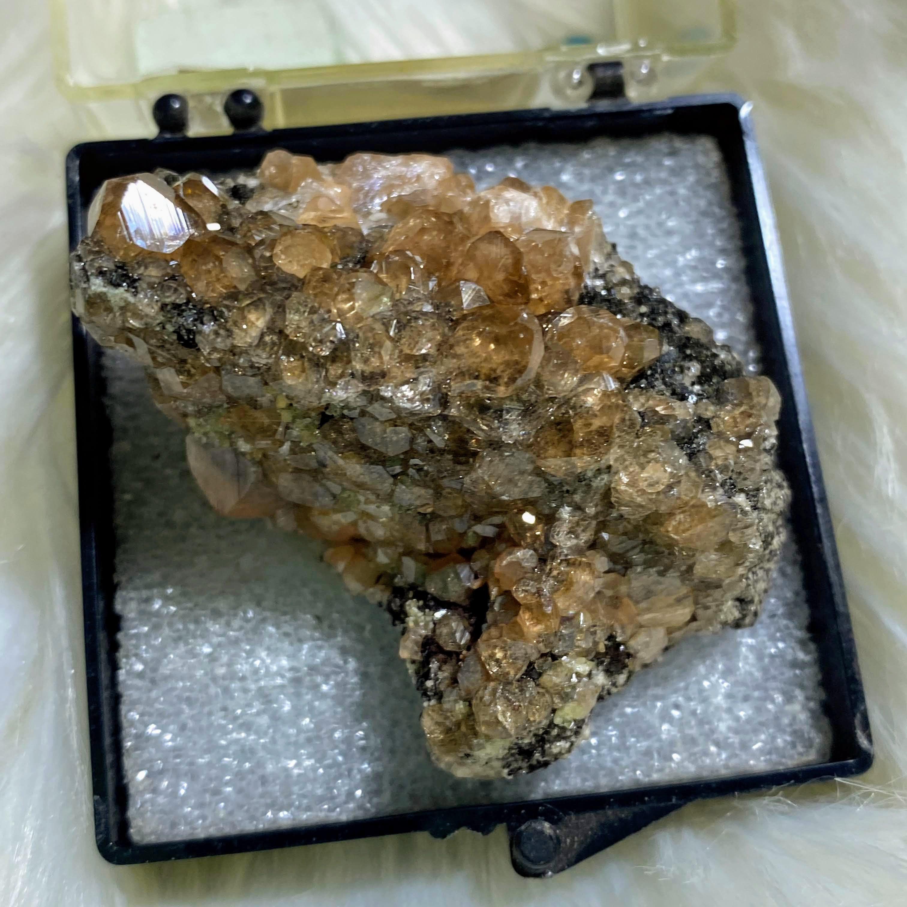 Rare Collectors Hessonite Garnet Specimen in Collectors Box~Locality: Ontario, Canada - Earth Family Crystals
