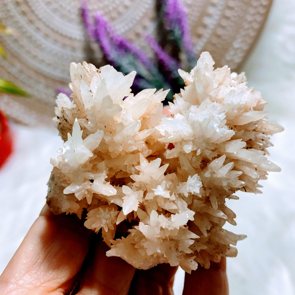 Reserved For Sandy Beautiful & Unusual Peach Calcite Natural Cluster Specimen - Earth Family Crystals