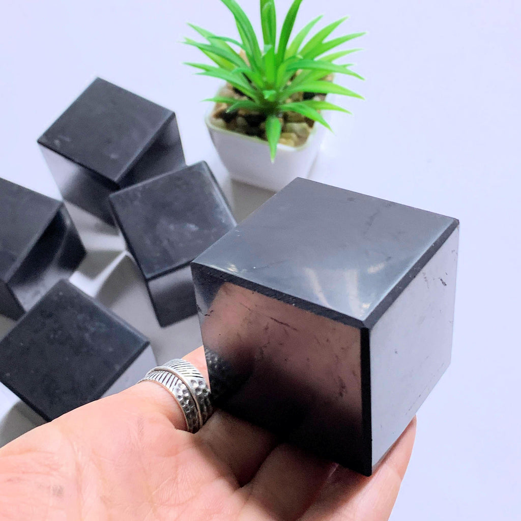 Emf Protective Medium Polished Shungite Cube Carving~ Locality Russia - Earth Family Crystals
