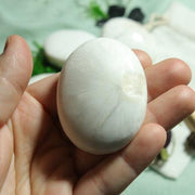 White Scolecite Pillow Palm Stone ~ Beautiful Balanced Energy - Earth Family Crystals