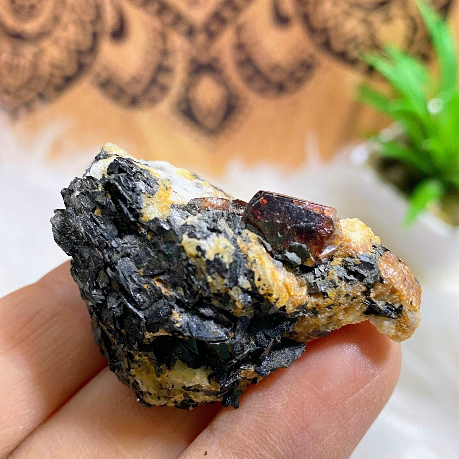 Rare Collectors Unpolished Zircon & Biotite Specimen From Pakistan - Earth Family Crystals
