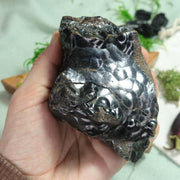 Raw Kidney Ore Hematite Specimen ~ Medium Size ~ Life Force Energy - Earth Family Crystals
