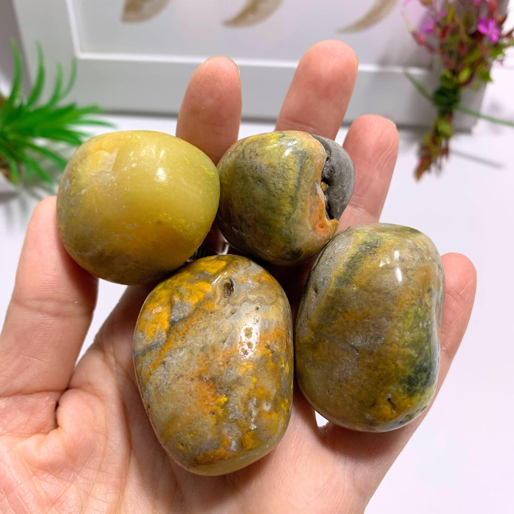 One Golden Bumble Bee Jasper Polished Palm Stone - Earth Family Crystals