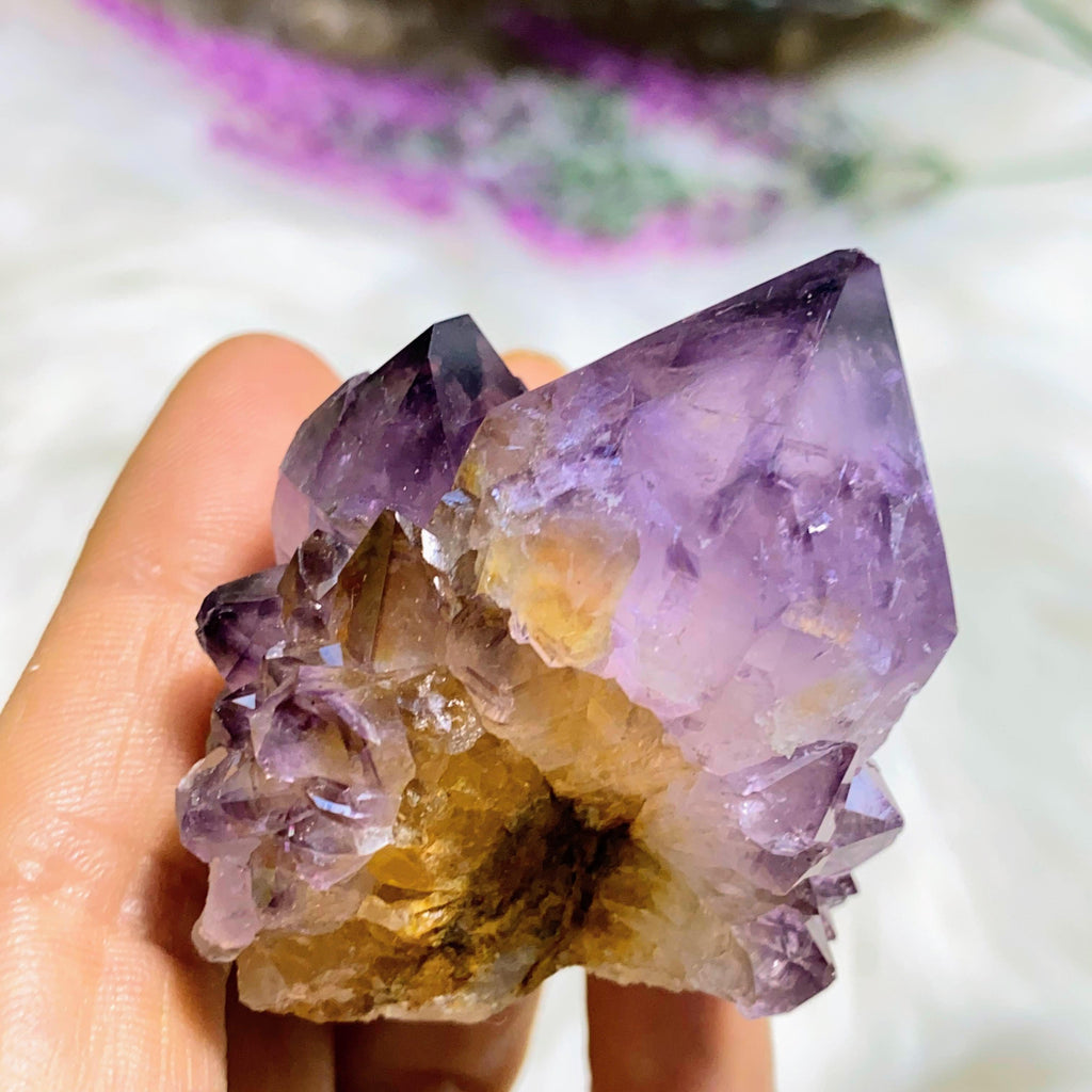 Incredible Star Ametrine Spirit Quartz With Record Keepers & Phantom ~Locality: S.Africa - Earth Family Crystals
