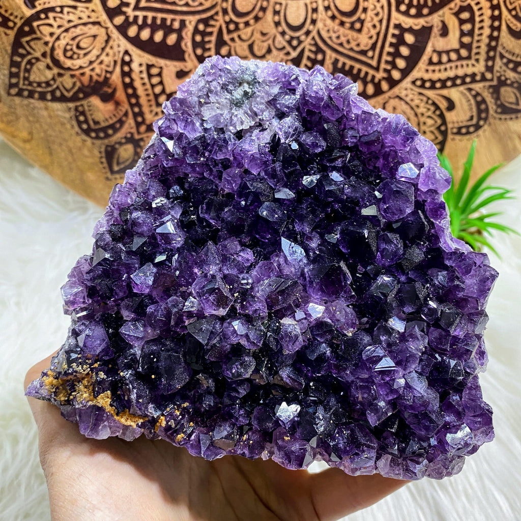 Deep Purple Amethyst XL Natural Standing Display Specimen From Uruguay #3 - Earth Family Crystals