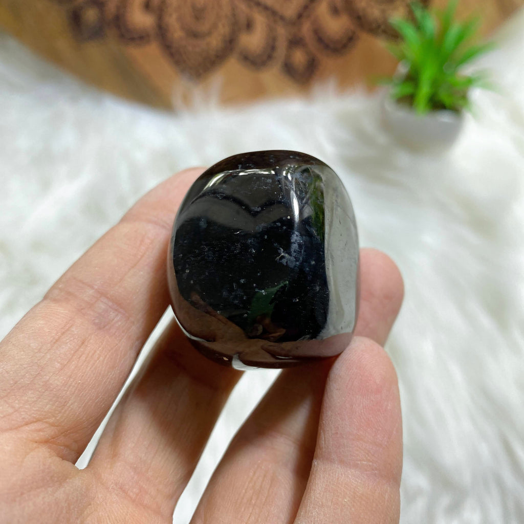 Shiny Black Jet Hand Held Specimen - Earth Family Crystals