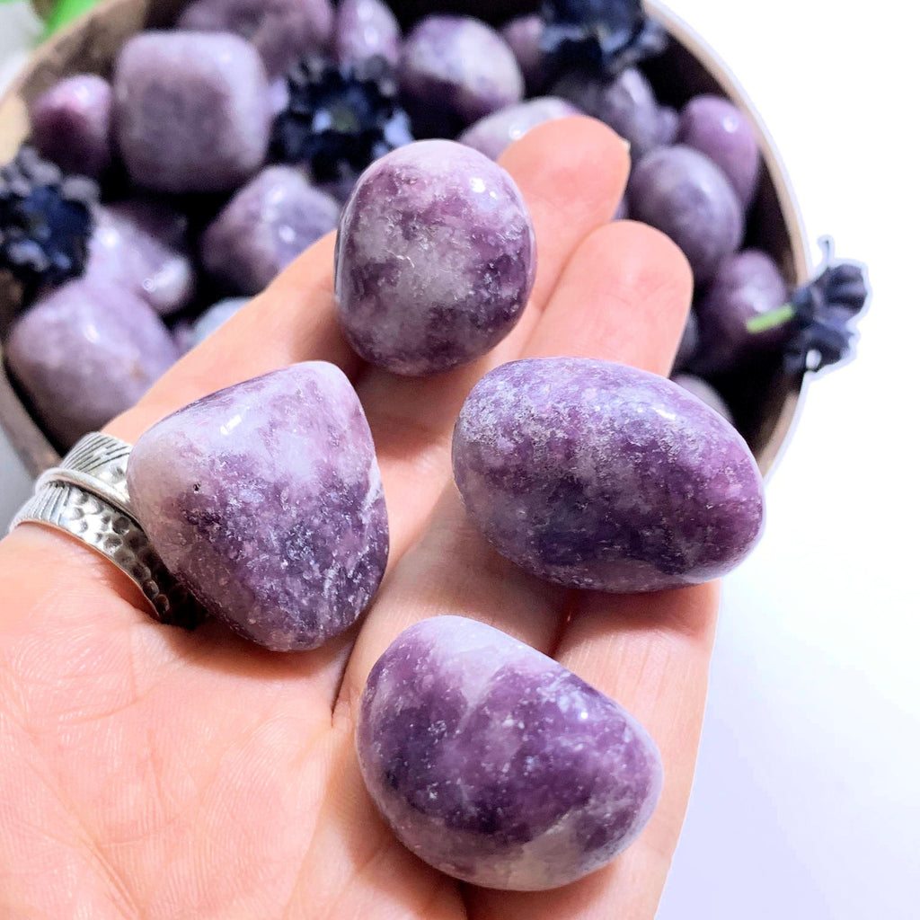 Set of 4 ~Lilac Lepidolite Tumbled Stones From Brazil~Ideal for Crystal Grids! - Earth Family Crystals