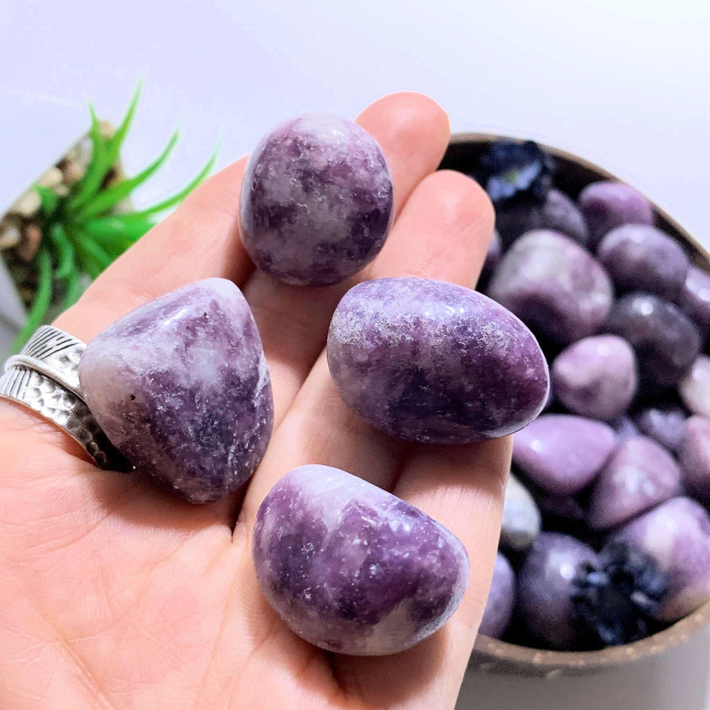 Set of 4 ~Lilac Lepidolite Tumbled Stones From Brazil~Ideal for Crystal Grids! - Earth Family Crystals