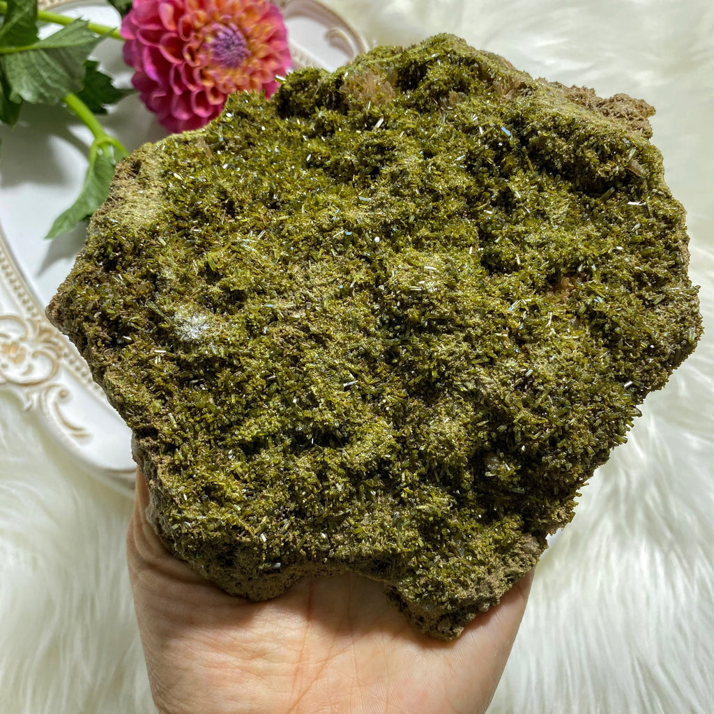 Incredible XXL Gemmy Forest Green Epidote & Clear Quartz Display Specimen - Earth Family Crystals