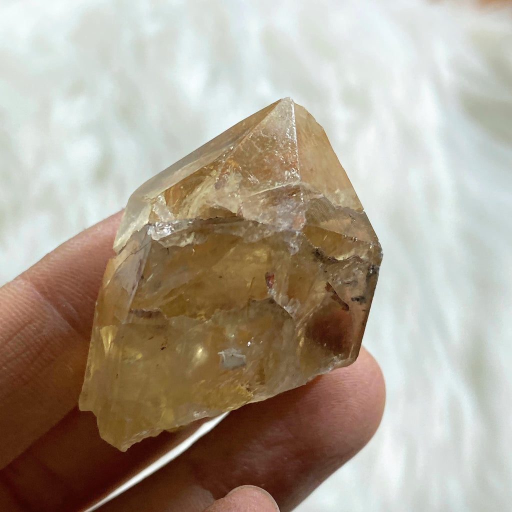 Natural Golden Citrine Point Specimen #2 - Earth Family Crystals