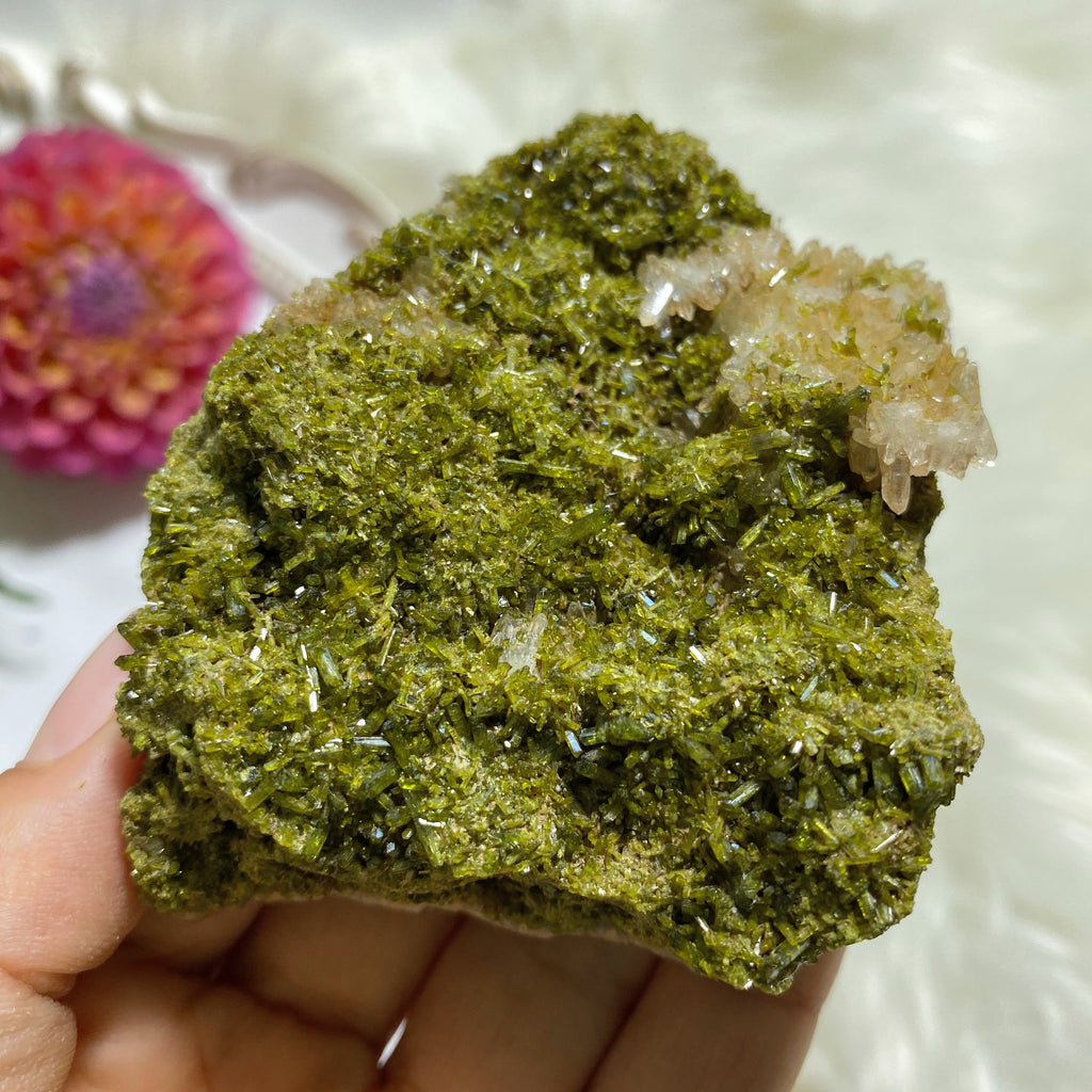 Gemmy Large Forest Green Epidote & Clear Quartz Natural Specimen - Earth Family Crystals