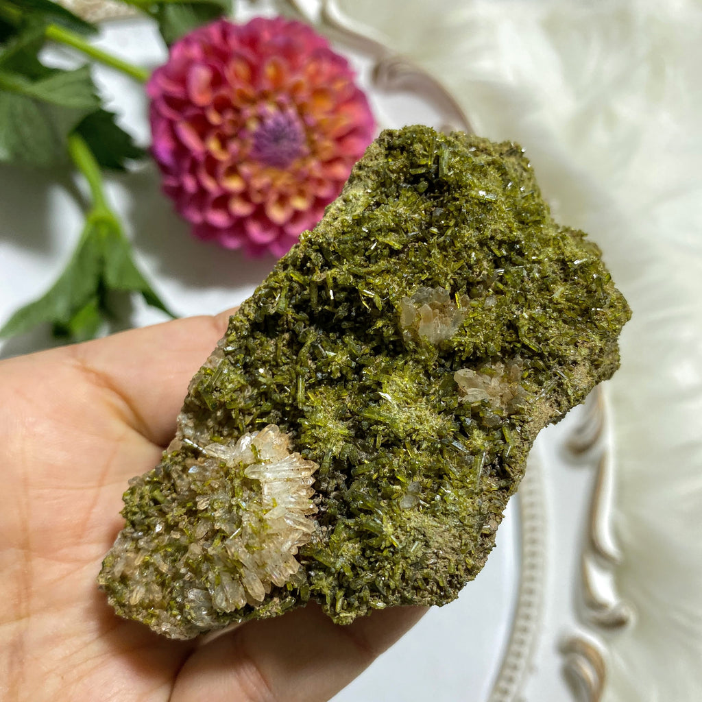 Forest Green Large Epidote & Clear Quartz Natural Specimen - Earth Family Crystals
