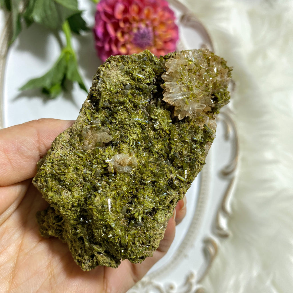 Forest Green Large Epidote & Clear Quartz Natural Specimen - Earth Family Crystals
