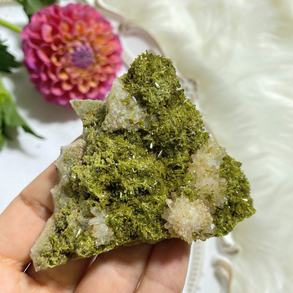 Gorgeous Large Epidote & Blooming Flower Clear Quartz Clusters Natural Specimen - Earth Family Crystals