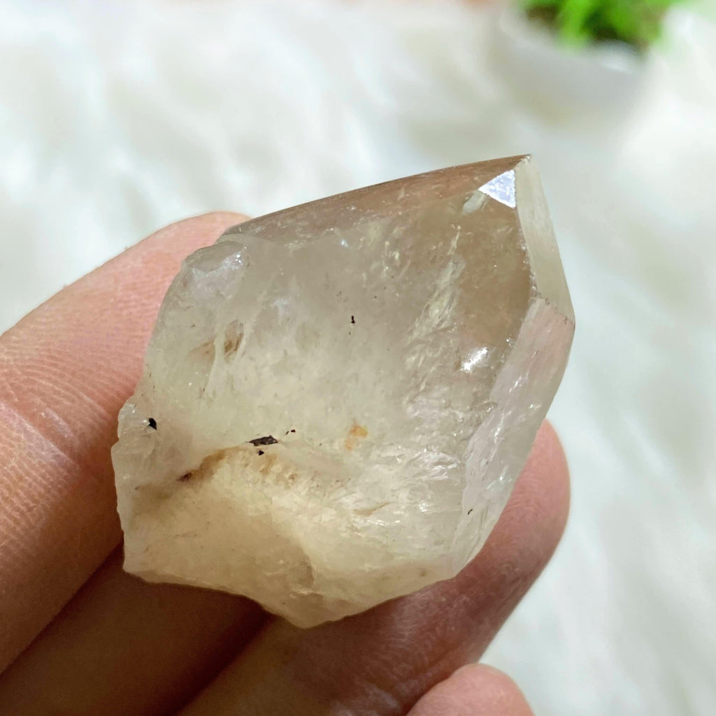 Natural Pale Golden Citrine Small Point Specimen #6 - Earth Family Crystals