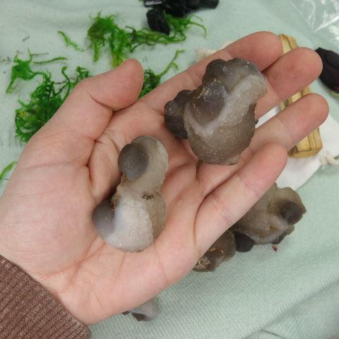 Truffle Chalcedony ~ Bubble Agate ~ One Pound - Earth Family Crystals