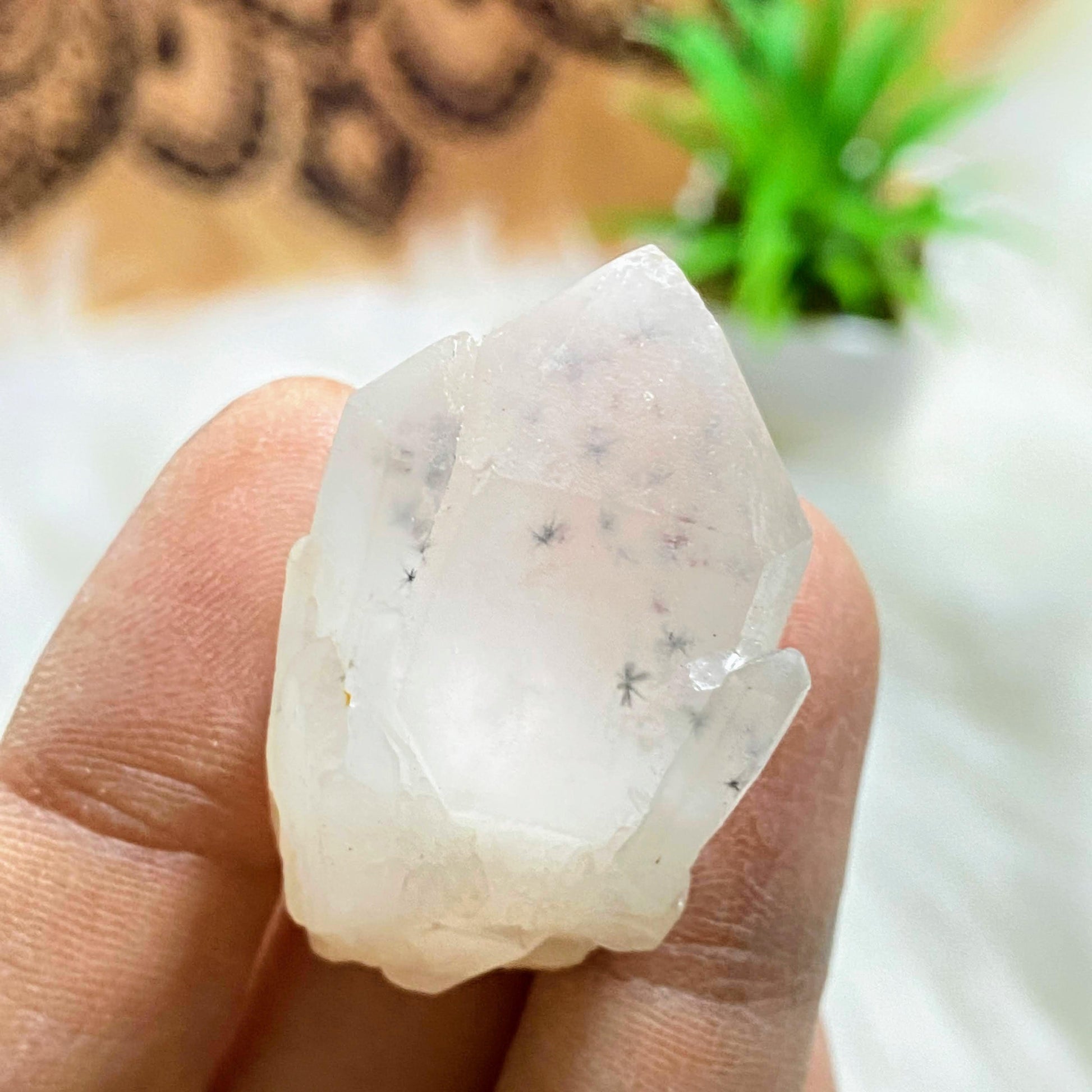 Very Rare! Star Hollandite Clear Quartz Elestial Dainty Point With Phantom From Madagascar - Earth Family Crystals