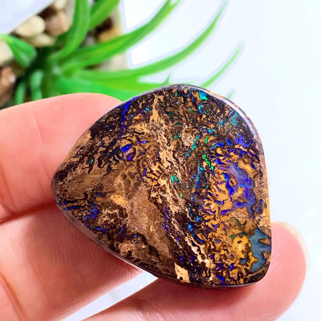 Fine Australian Koroit Matrix Boulder Opal Cabochon - Earth Family Crystals