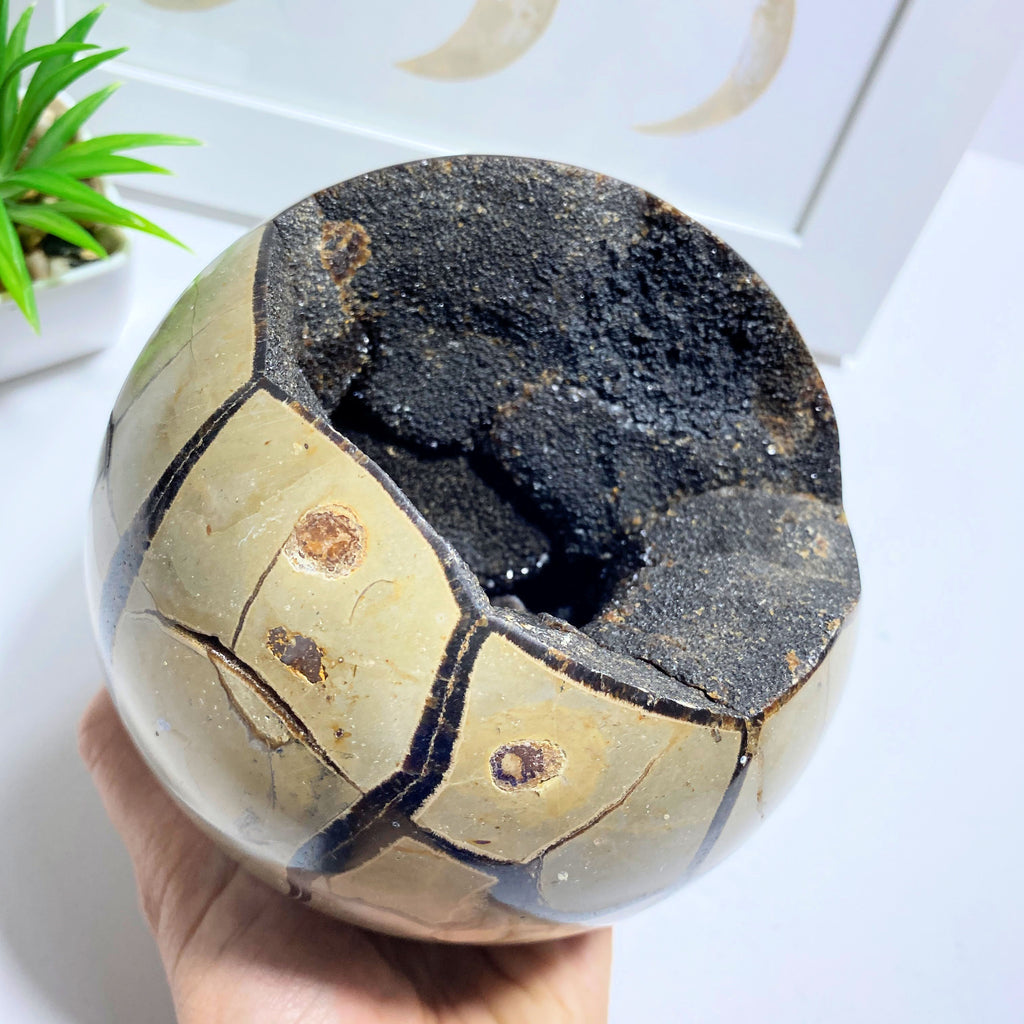 Jumbo 2.3 KG Septarian Dragon Sphere Display Specimen From Madagascar - Earth Family Crystals